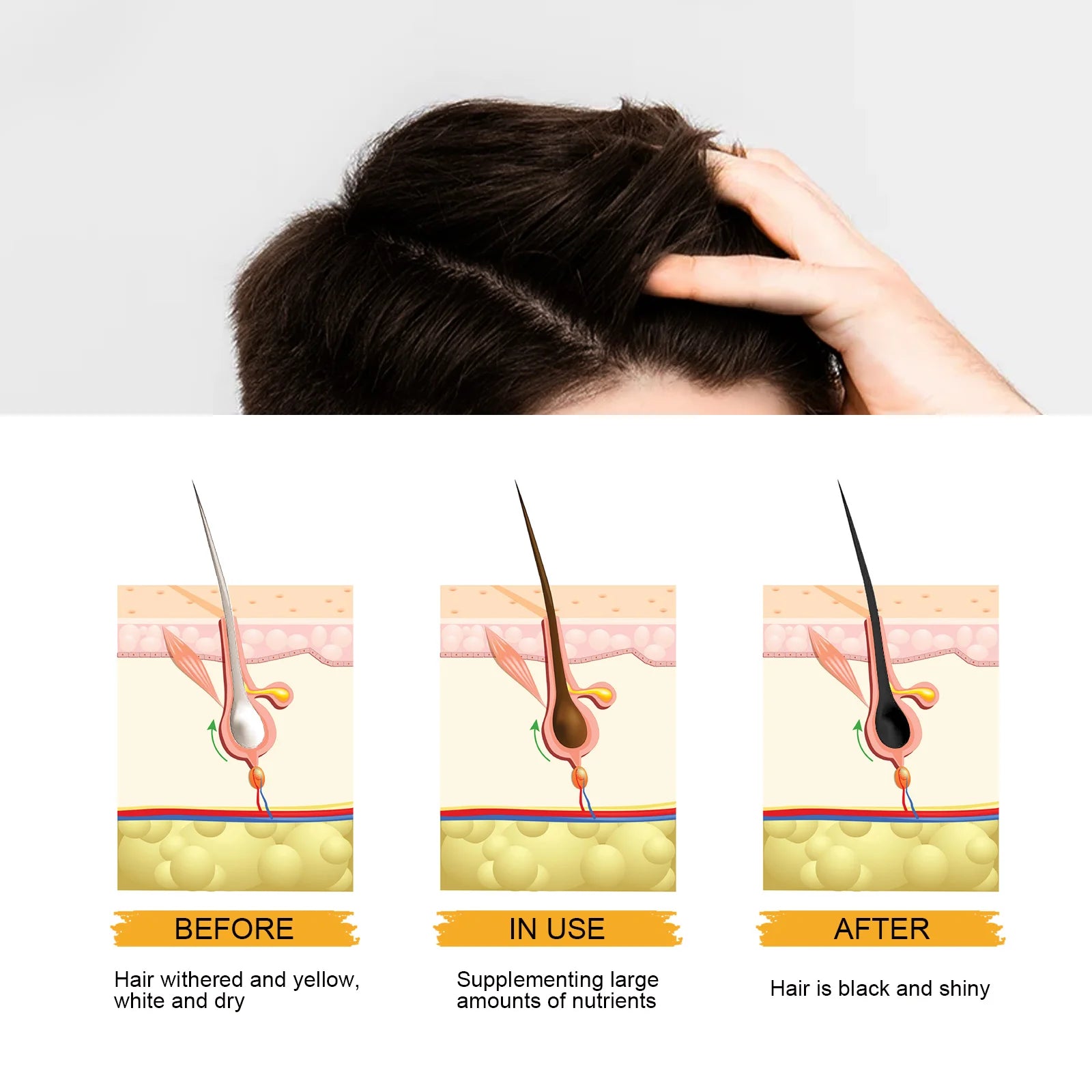 East Moon He Shou Wu Hair Darkening Shampoo Bar | Gray Hair Hair Darkening Shampoo Bar Oasis Select