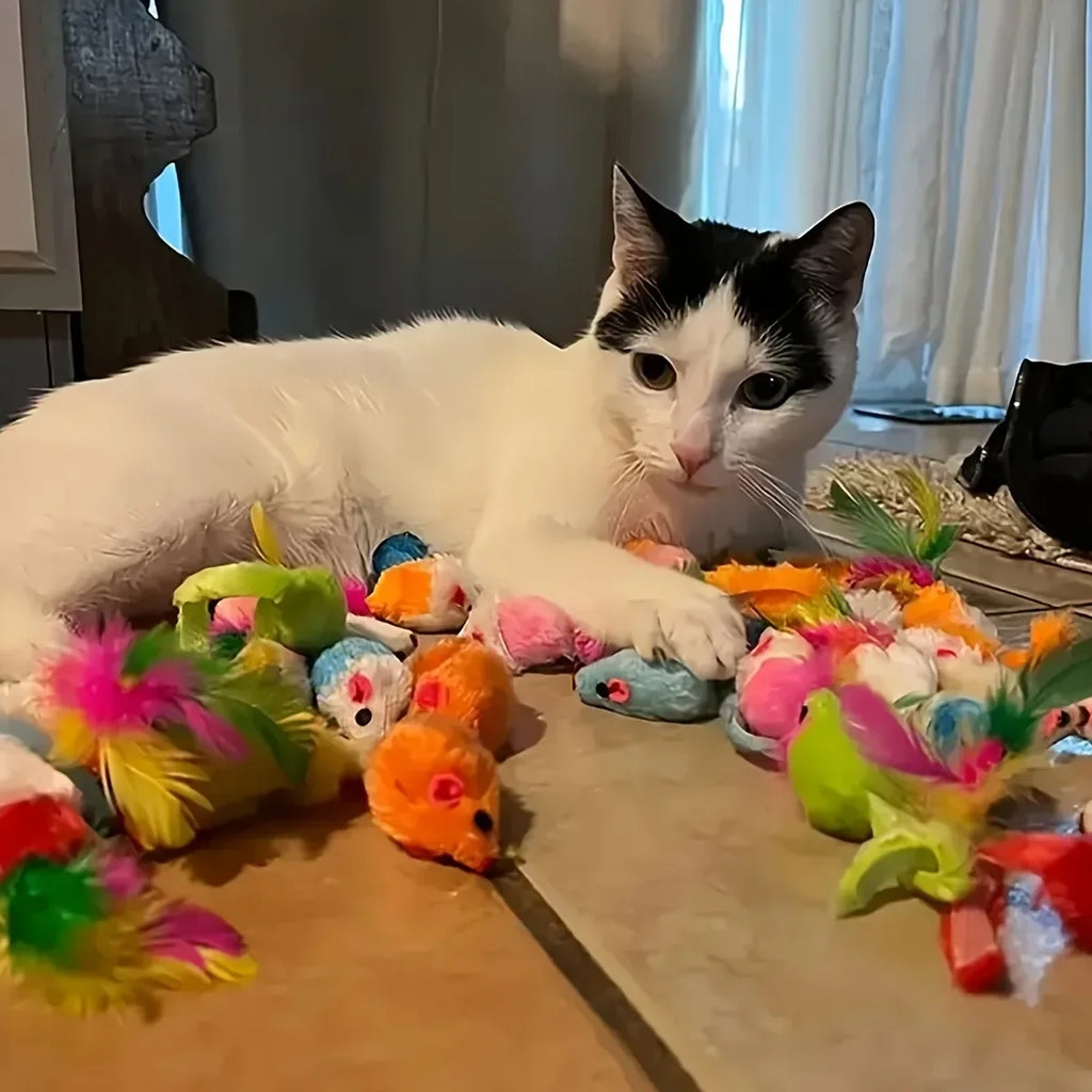 56pcs/28pcs/14pcs Kitten Toys Variety Pack-Pet Cat Toys Combination Set Cat Toy Funny Cat Stick Mouse Bell Ball Cat Supplies Oasis Select