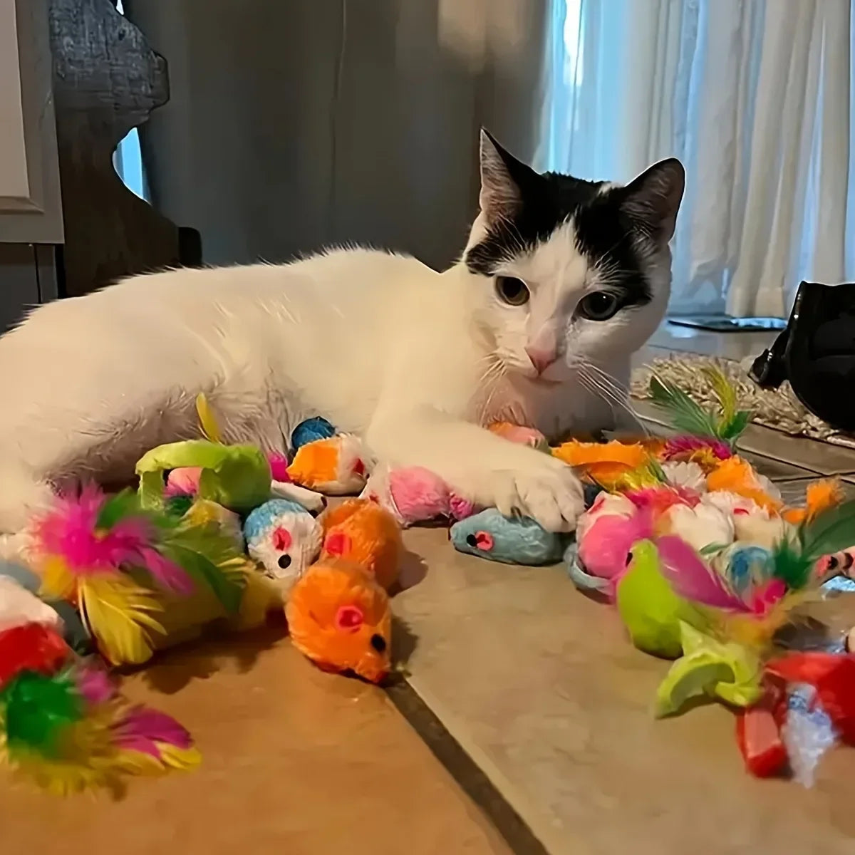 56pcs/28pcs/14pcs Kitten Toys Variety Pack-Pet Cat Toys Combination Set Cat Toy Funny Cat Stick Mouse Bell Ball Cat Supplies Oasis Select
