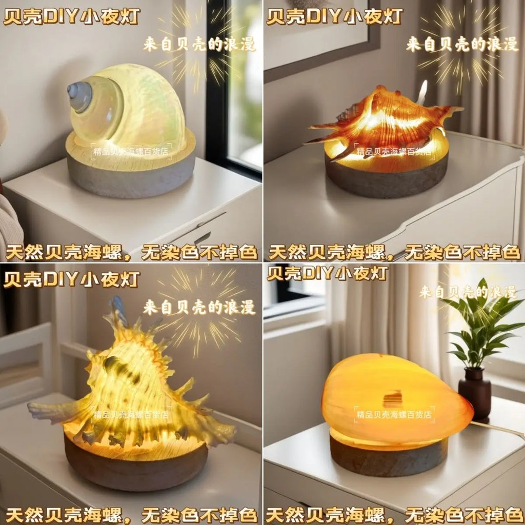 Natural Conch Sea Urchin Shell Mini Night Light Senior Children's Birthday Gift Creative Ornaments Oasis Select