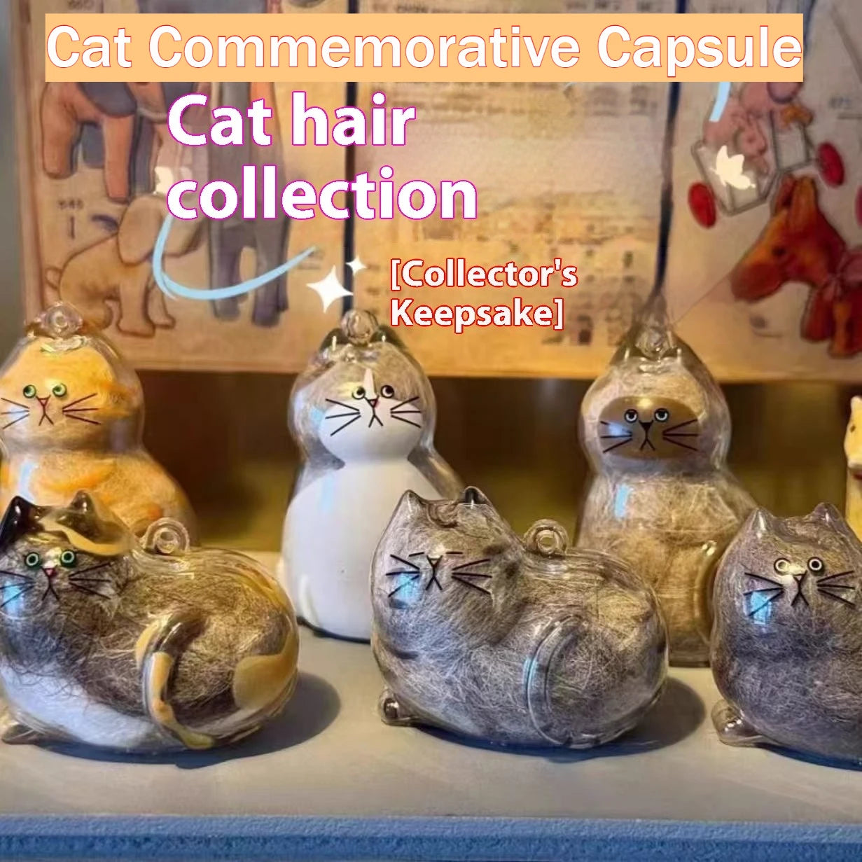 Transparent Cat and Dog Hair Storage Box, Pendant, Gashapon, Cat Hair Storage Capsule, Gashapon Bag, Keychain, Hanging Accessory Oasis Select