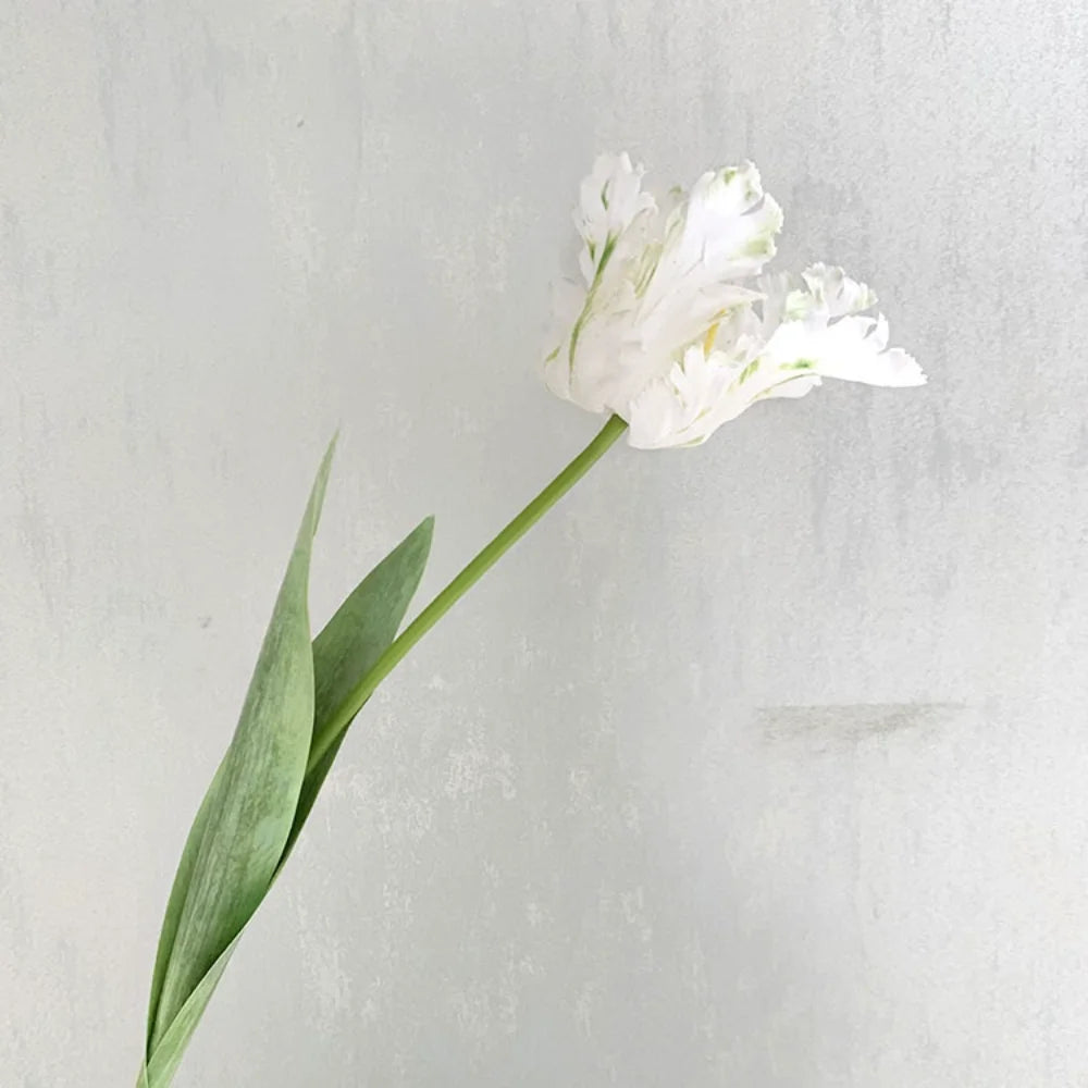 Luxury 3D Parrot Tulip branch 1PC Real Touch Artificial Flowers for Wedding Fake Tulips Bridal DIY Bouquet Living Room Ornaments Oasis Select White