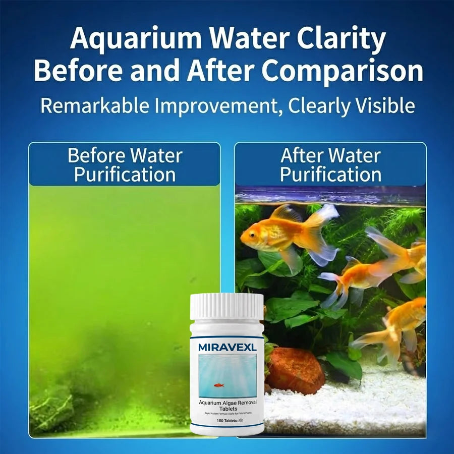 MIRAVEXL Aquarium Algae Control Tablets, Fast Acting Fish Tank Cleaner for Moss Sludge & Green Water, Safe for Fish, 150pcs Oasis Select