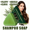 120G Cypress Leaf & Usmanthus Shampoo Bar, enriched with herbal extracts such as ginseng and cypress leaves, gently cleanses Oasis Select Default Title