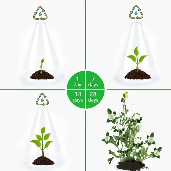 12/24pcs Reusable Plant Cloche Breathable Mini Greenhouse Cover Clear Frost Wind Guard Seedling Protector Garden Plant Shield Oasis Select