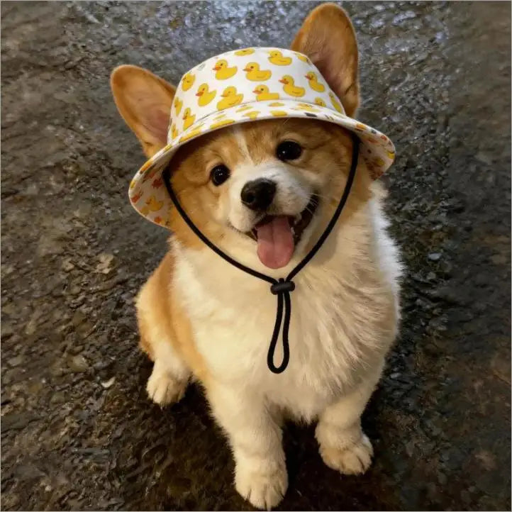 Dog Sun Hat Adjustable Dog Hat Cute Print Caps Pet Sun UV Protection Hat for Walking Outdoor Activities hats for Dogs Cats Oasis Select
