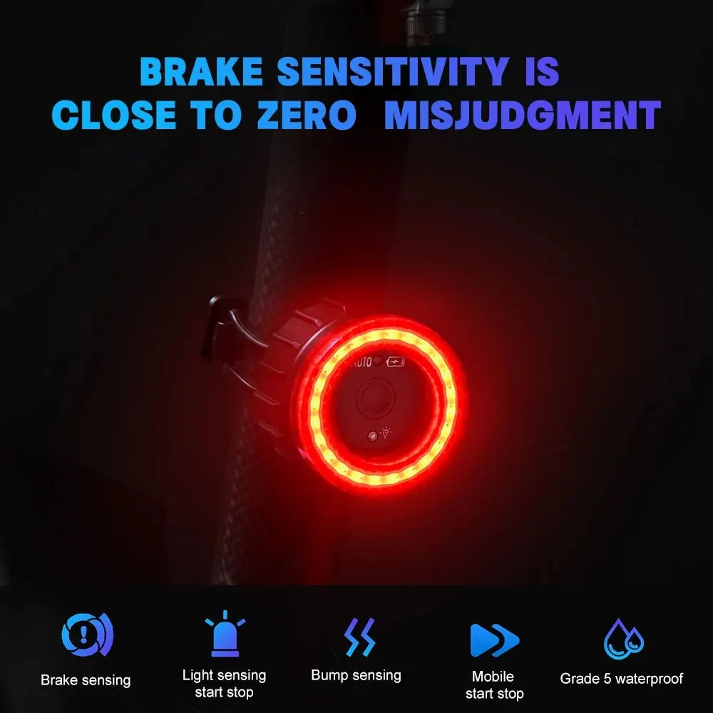 X-TIGER Smart Bicycle Tail Light Waterproof LED Sensor Brake Light Super Bright Cycling Safety Warning Light Oasis Select