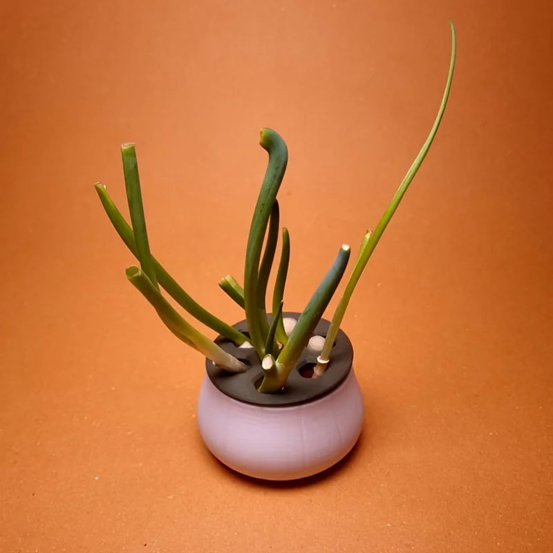 Flowerpot Green Onion Pots for Plants Hydroponic Seeds Mini plastic Home Kitchen Hydroponics Growing System Garden Pots&planters Oasis Select