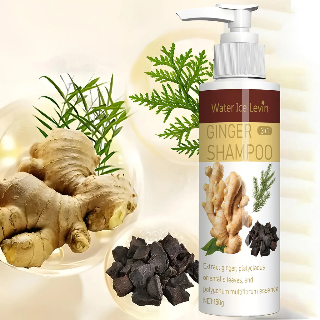 Ginger Regrowth Shampoo – Anti Hair Loss, Dandruff & Oil Control Hair Growth Shampoo Oasis Select