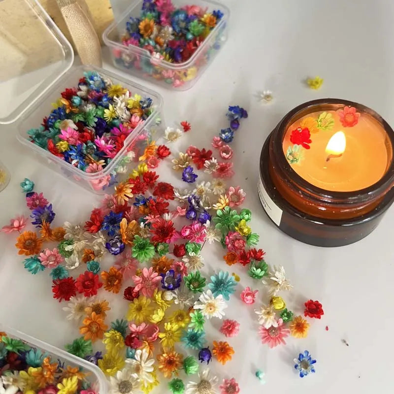 1 BOX Tiny Mini Dried Flowers Colorful Small Dried Gypsophila Flowers for Candle, Soap, Resin, Craft Makings Oasis Select