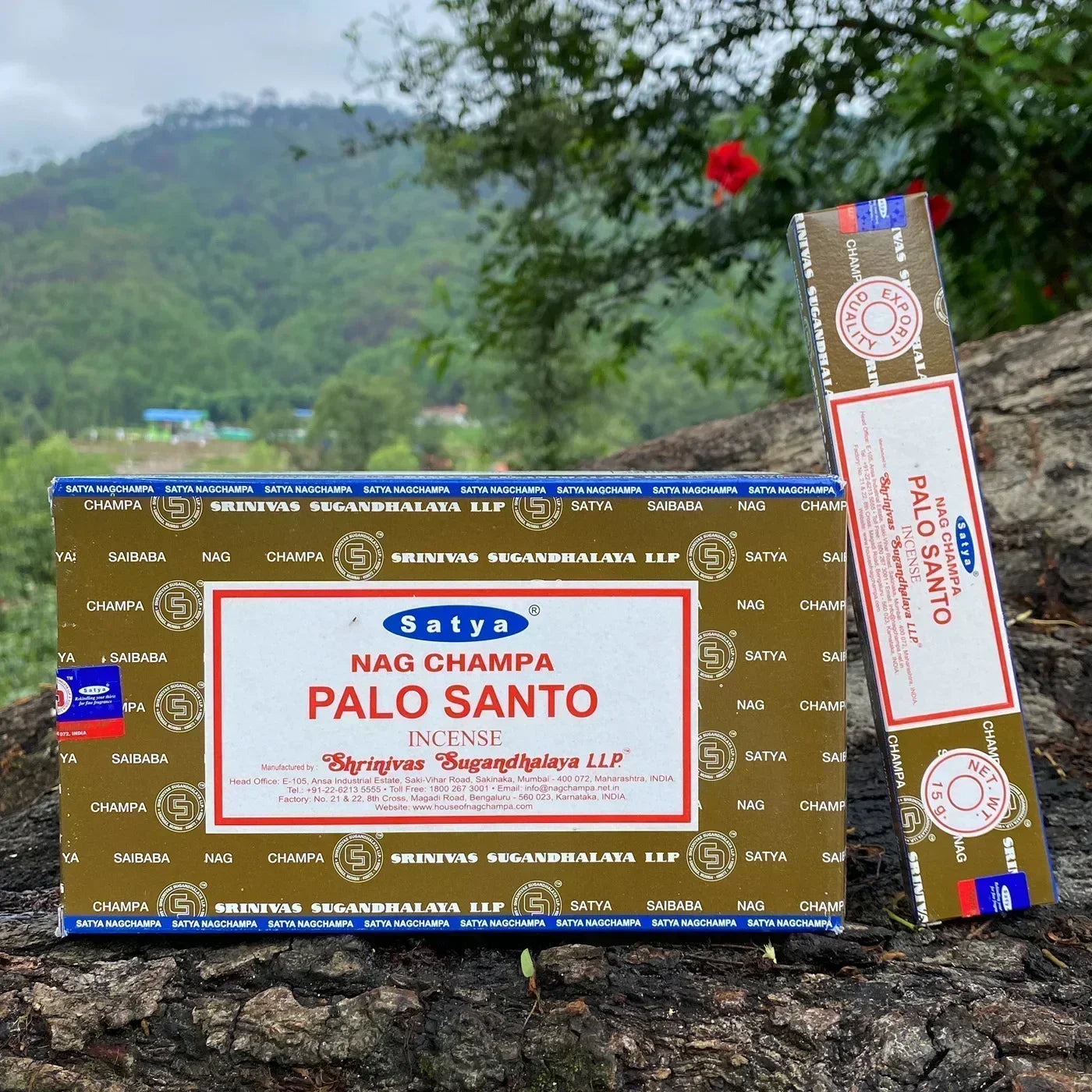 6/12boxes Satya White Sage Incense Sticks Home Fragrance NAGCHAMPA Sticks OUDH PALO SANTO Mix Incense YOGIC MEDITATION Aroma Oasis Select PALO SANTO 12 small boxex