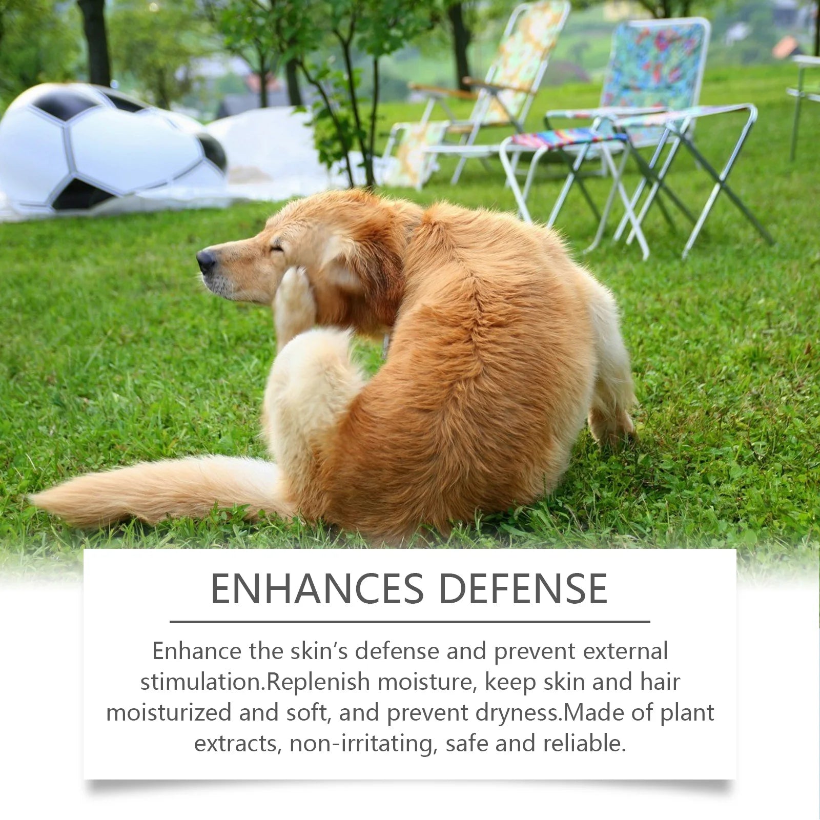 Anti-Itch Dog Shampoo with Coconut Oil – Relieves Itching Dog Grooming Shampoo Oasis Select