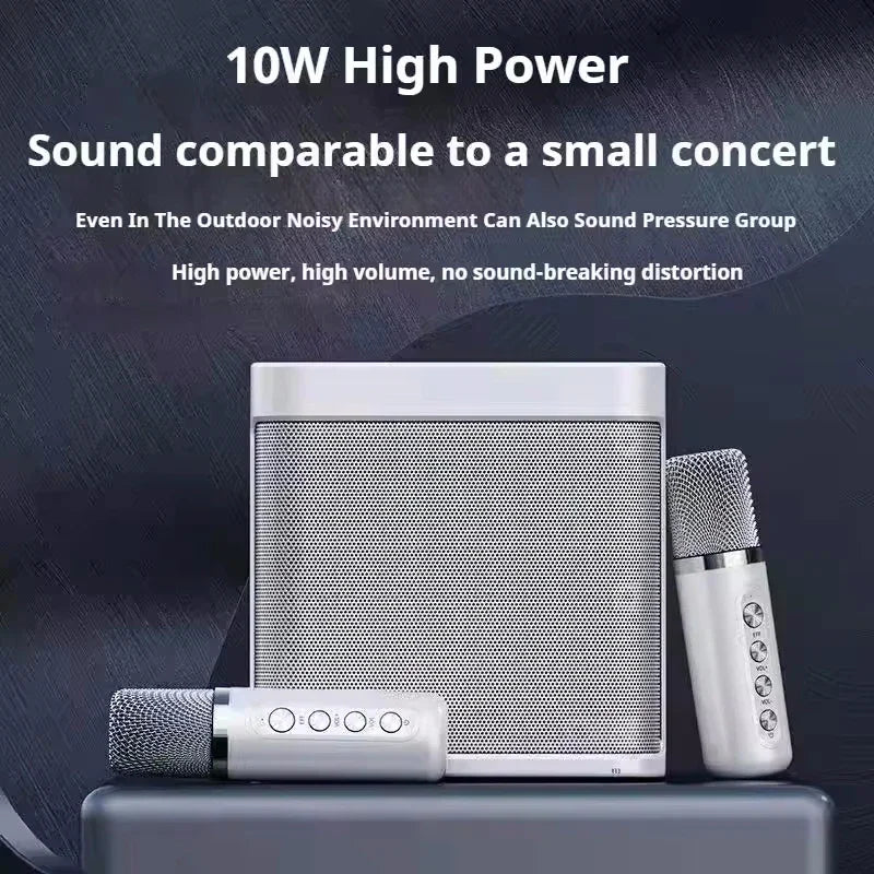 AyeBeau Portable Karaoke Bluetooth Speaker with Microphone