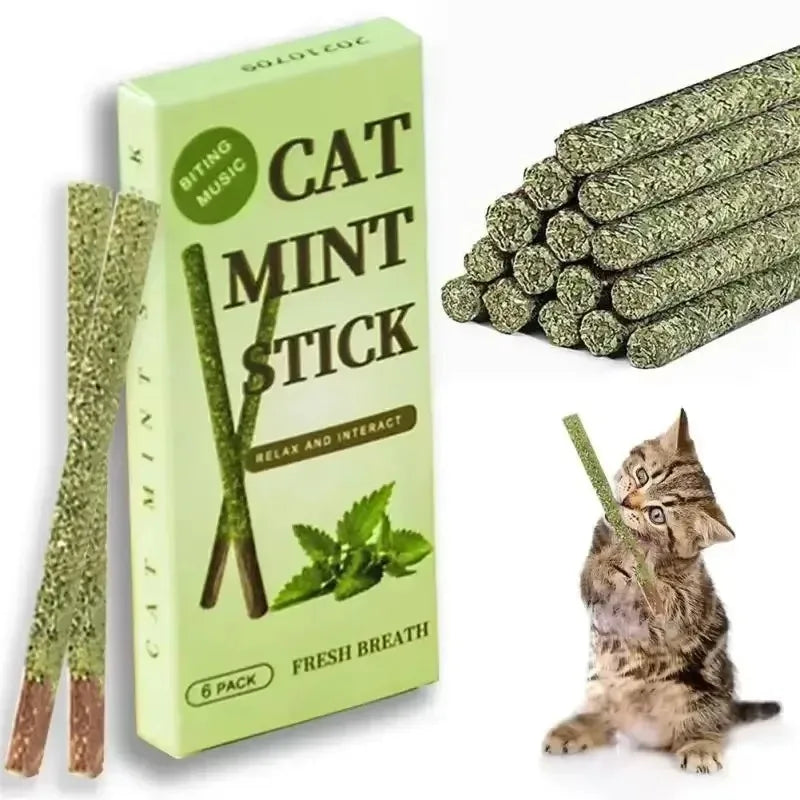 1-4pcs Natural Catnip Pet Cat Molar Toothpaste Stick Cat Snacks Sticks Pet Cleaning Teeth Cat Toys Silver Vine Pet Toy Oasis Select
