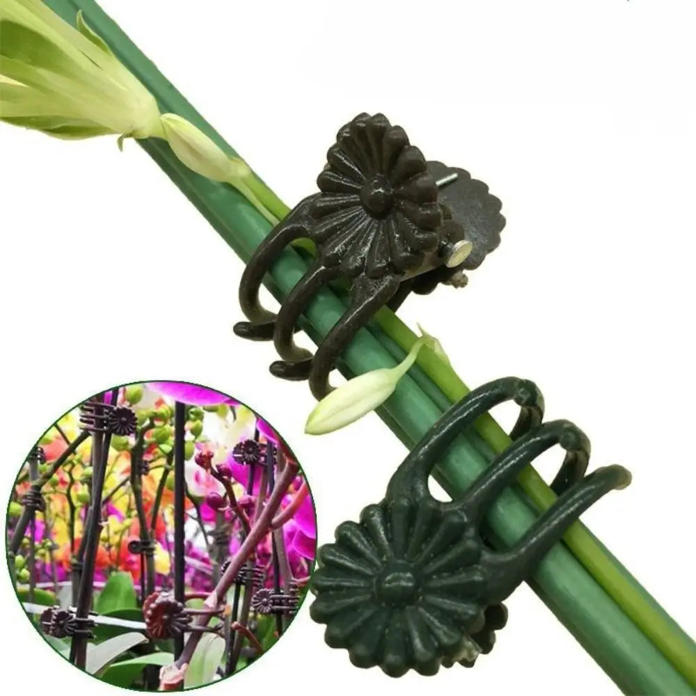 50-Pack Plant Support Clips – Vine, Orchid & Stem Clamps