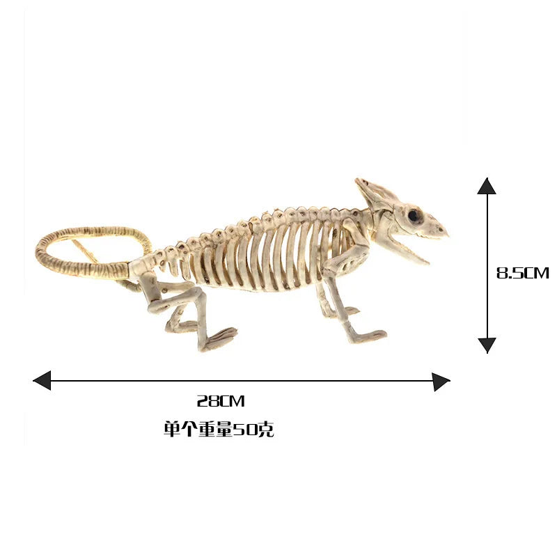 Halloween Skeleton Piranha Lizard Spider Mouse Bat Scorpion Skeleton Animal Skeleton Oasis Select