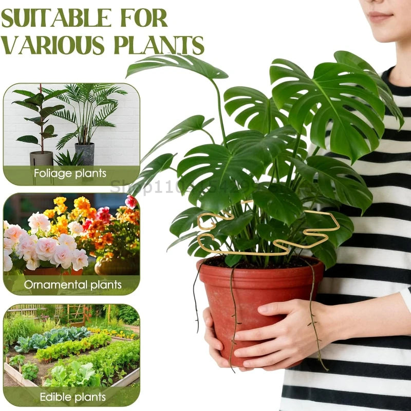 Adjustable Metal Plant Stem Support Flower Climbing Stem Holder Vine Branch Iron Hooks Garden Plant Climbing Plant Trainer Oasis Select