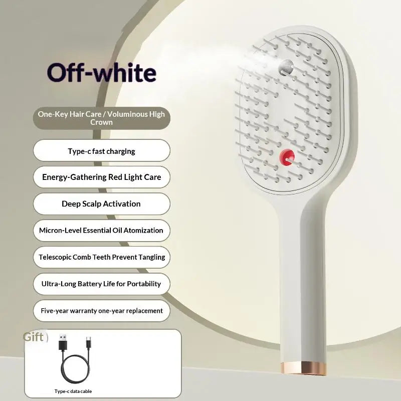 Electric Steam Spray Hair Brush | USB-C Anti-Frizz Styling Comb