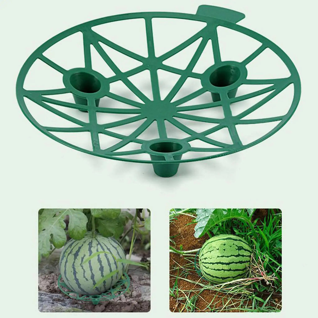 Watermelon Support Stand 10 Pieces Watermelon Harvest Basket for Garden Stackable Plant Growing Holder Rack for Squash Pumpkins Oasis Select
