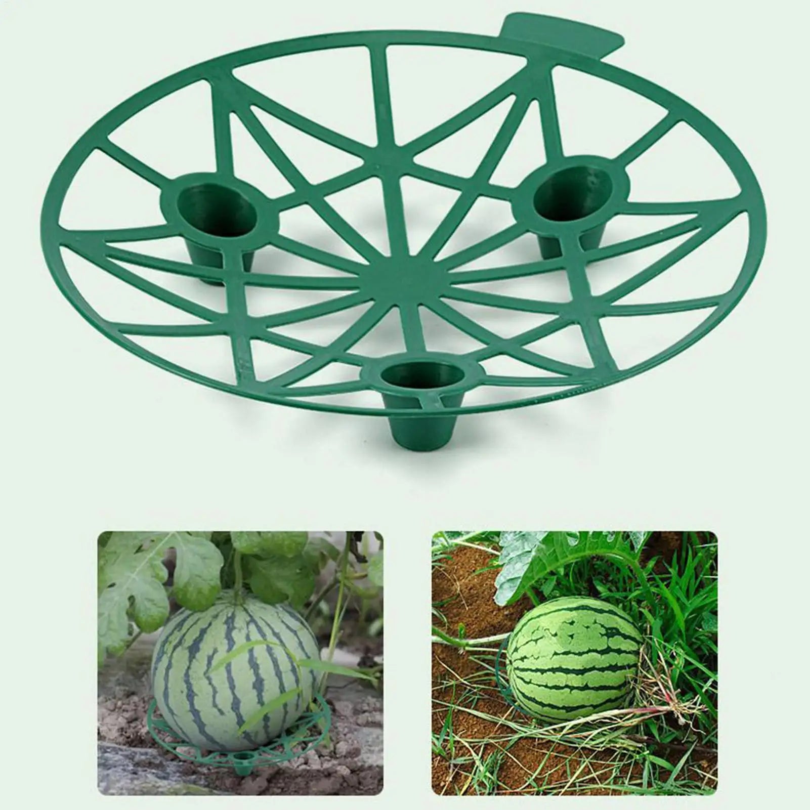 Watermelon Support Stand 10 Pieces Watermelon Harvest Basket for Garden Stackable Plant Growing Holder Rack for Squash Pumpkins Oasis Select