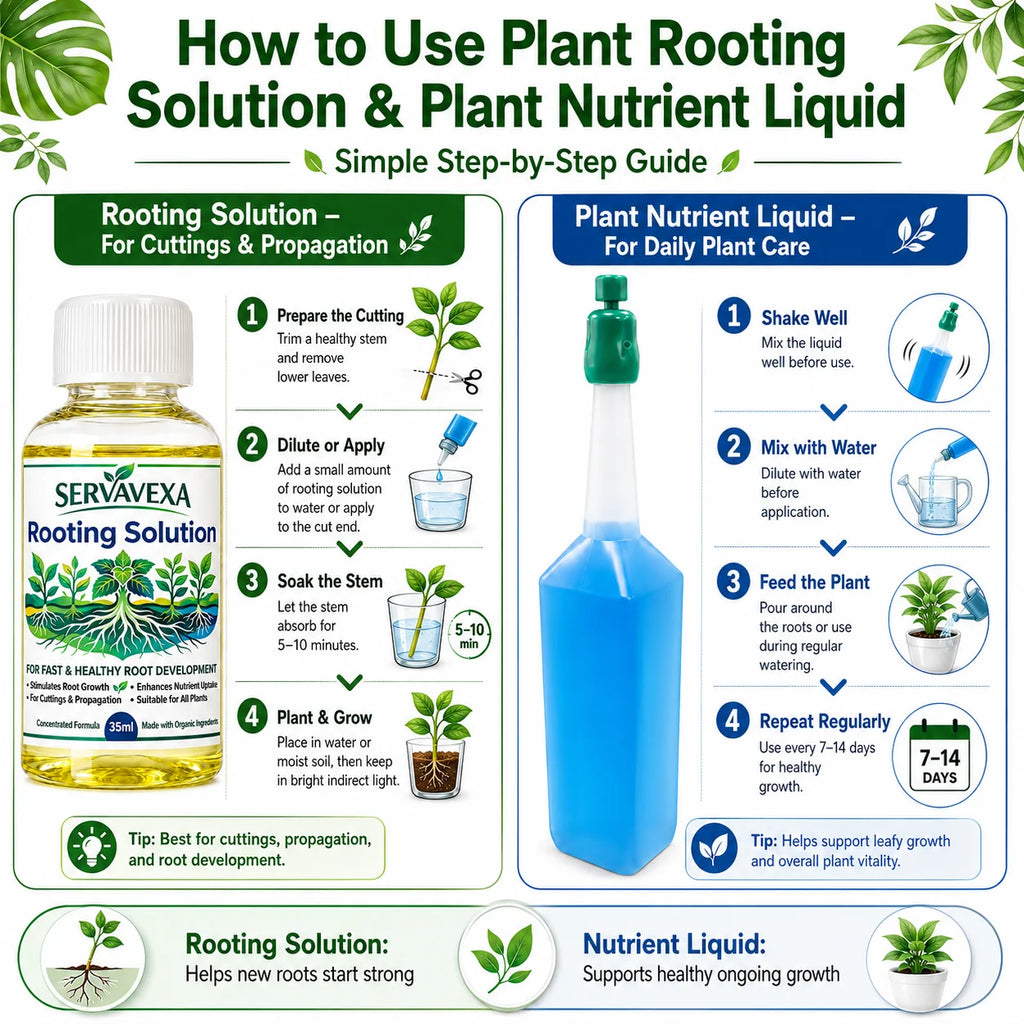 Plant Rooting & Nutrient Liquid Set – Boost Root Growth, Stem & Leaf Nutrition, Flowers, Ideal for Cuttings & Healthy Plants Oasis Select