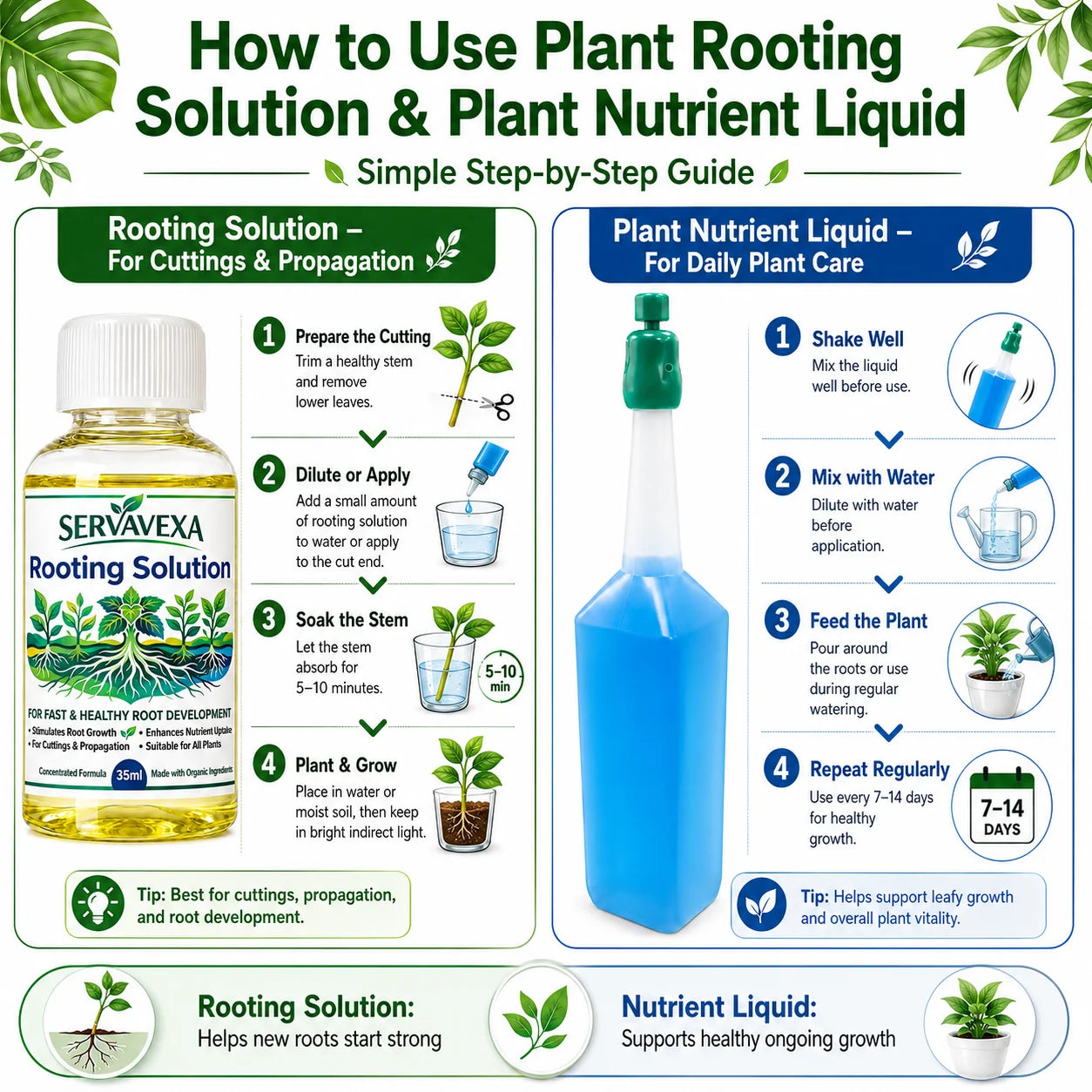 Plant Rooting & Nutrient Liquid Set – Boost Root Growth, Stem & Leaf Nutrition, Flowers, Ideal for Cuttings & Healthy Plants Oasis Select