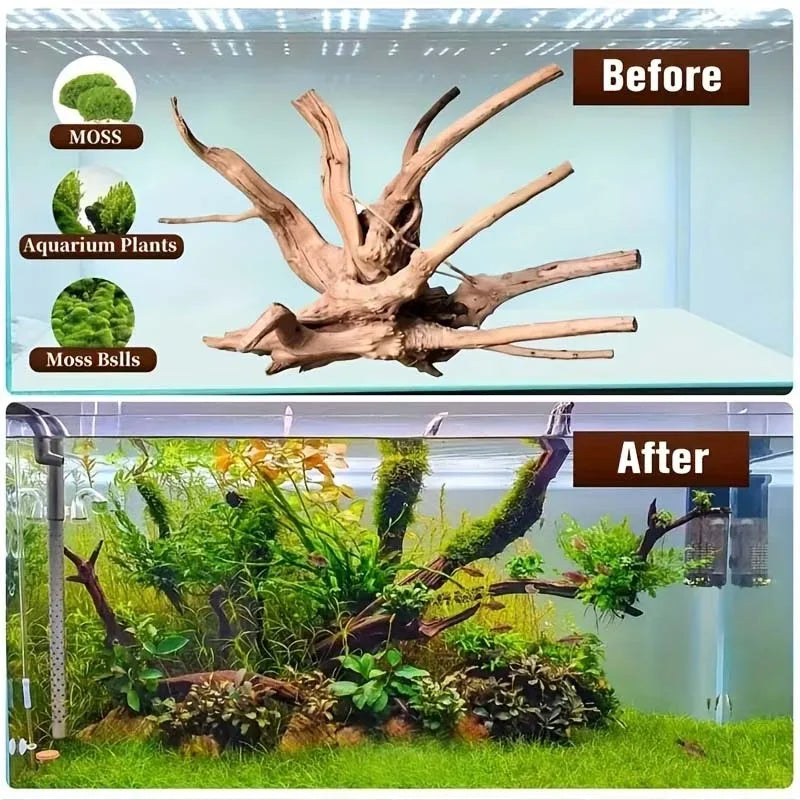 Set of 4 Natural Wood Roots – Aquarium Decor & Fish Tank Ornaments