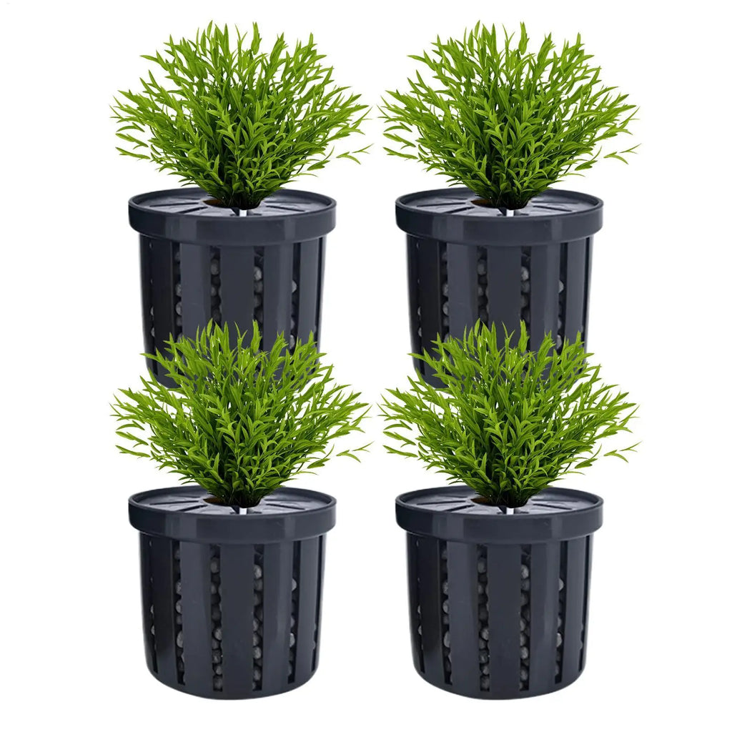 Aquarium Plant Holder Stable Fish Tank Plant Basket Aquarium Hydroponics Planting Holder Water Feature Decoration Accessories Oasis Select