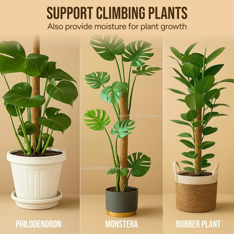 Plant Monstera Support Bendable Moss Pole for Plants Coconut Palm Fiber Monstera Handmade Coco Climbing DIY Garden Accessories Oasis Select