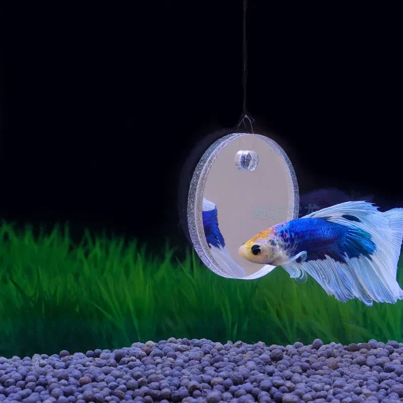 Aquarium Betta Mirror Fish Tank Floating Round Mirror for Fish Betta Flowerhorn Cichlid Training Oasis Select