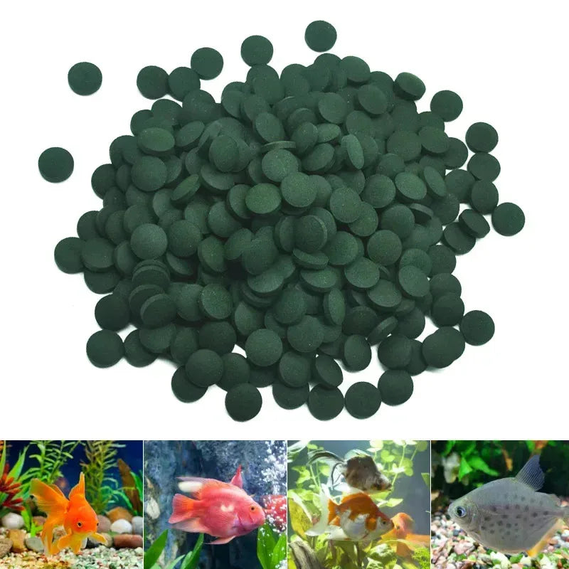 100-1000Pc High Purity Spirulina Tablets Spiral Seaweed Enrichment Favorite Pets Food Fish Crystal Red Shrimp Fish Food Aquarium Oasis Select