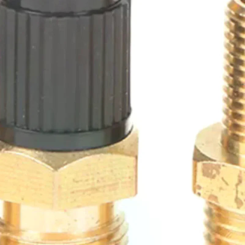 Automobile Tire Valve Core Tire Valve Tire Pressure Monitoring 1/4 1/8 NPT Valve Oasis Select