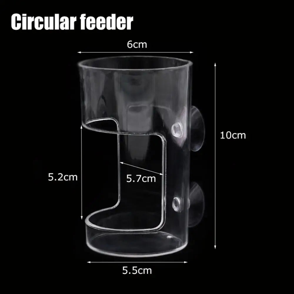 Acrylic Aquarium Feeders Ring Transparent Suction Cup Fish Tank Food Dispenser Fixed-Point Durable Floating Food Tray Feeder Oasis Select