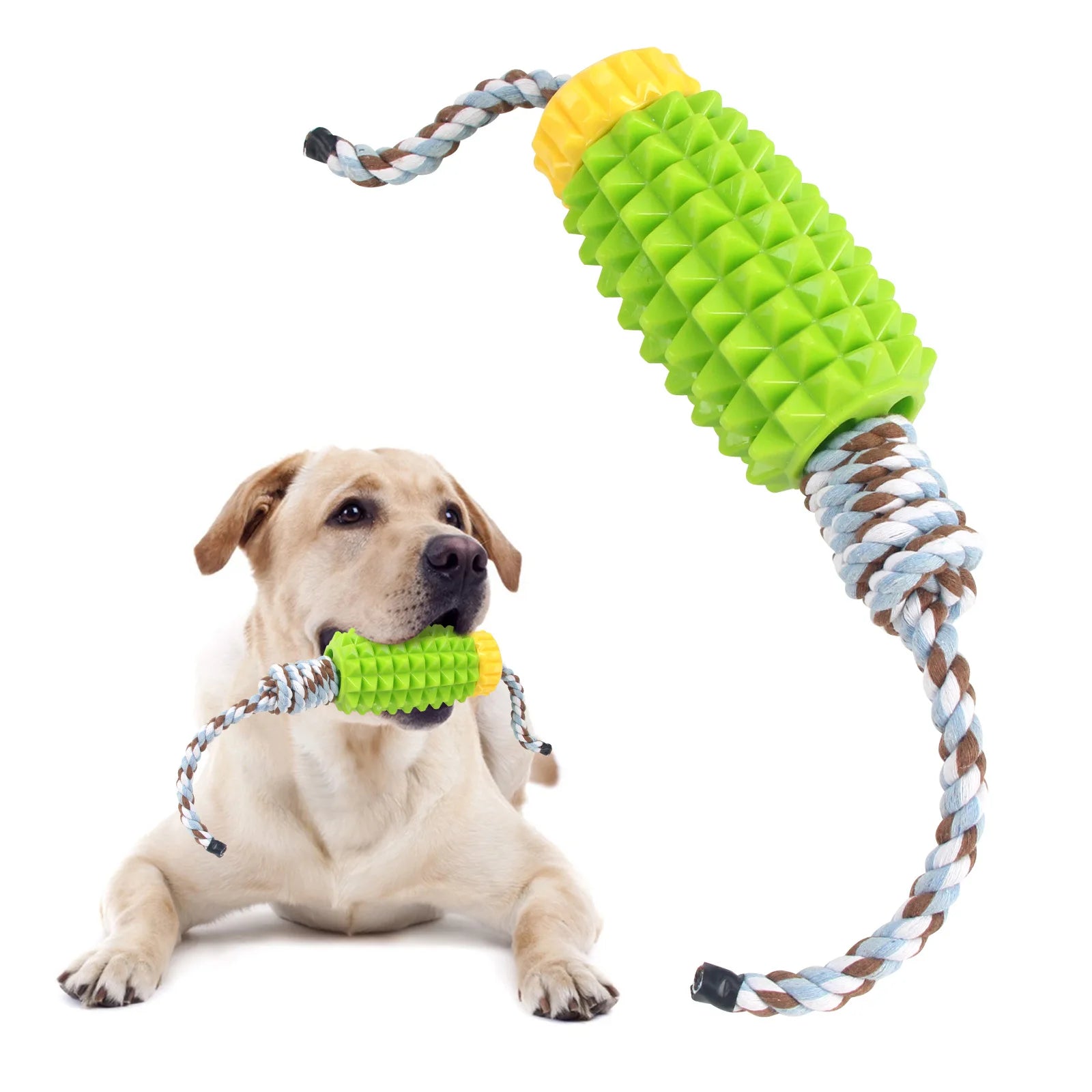 TPR Soft Rubber Big Pineapple Knot Interactive Training Toy for Dogs To Chew on Toys To Relieve Boredom and Prevent Food Leakage Oasis Select 25003-1B Green