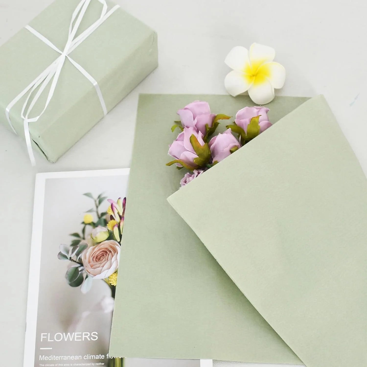 50 Sheets Sage Green Tissue Papers Light Green Wrapping Paper Solid Color Tissue Paper Gift Wrapping Paper Oasis Select
