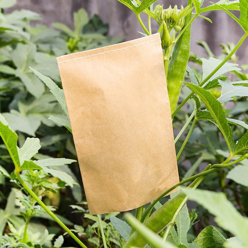 100Pcs Kraft Paper Seed Protective Envelope Storage Bags Mini Envelopes Packets Oasis Select