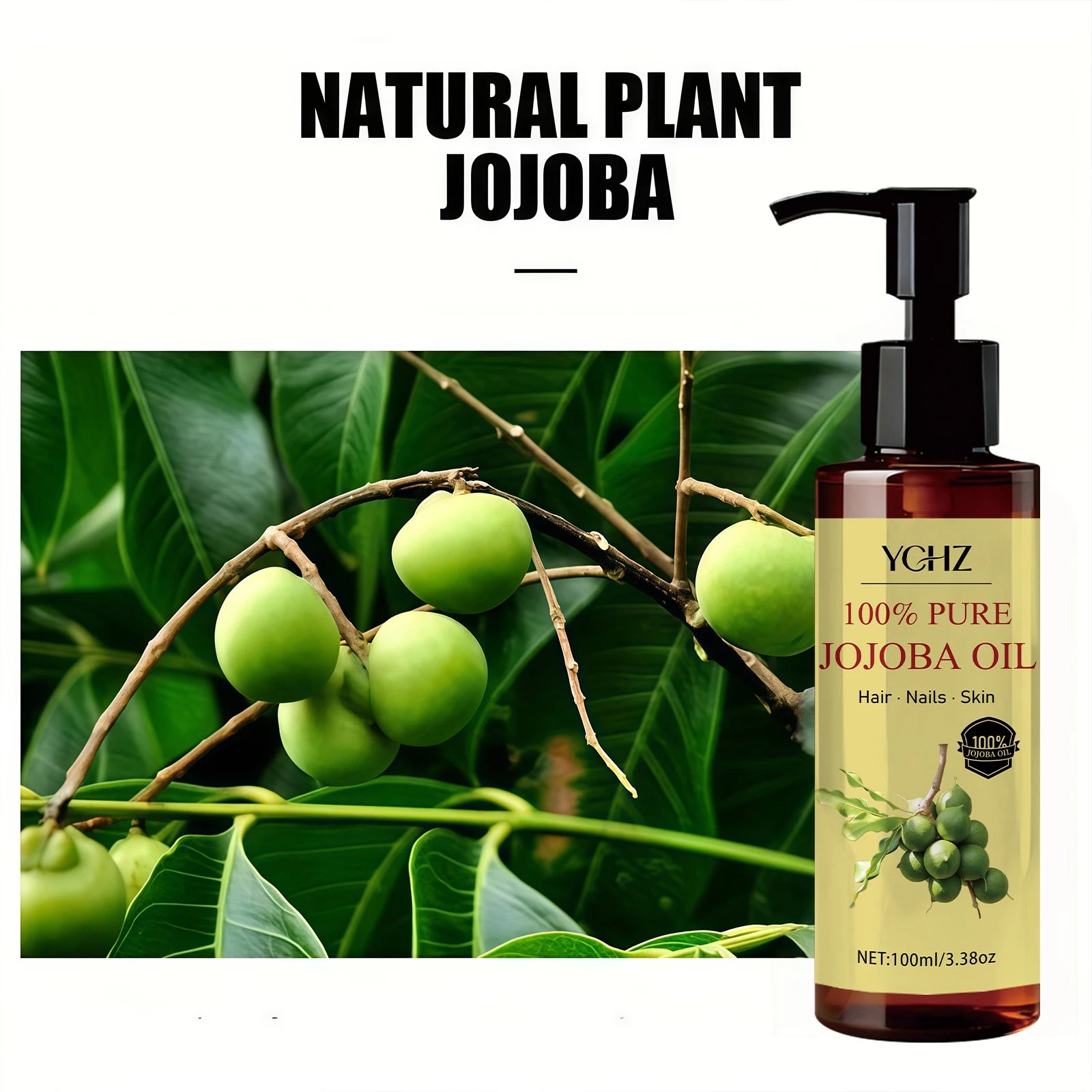 YCHZ Pure Jojoba Oil – Skin, Hair, Body & Eyelash Care 100ml