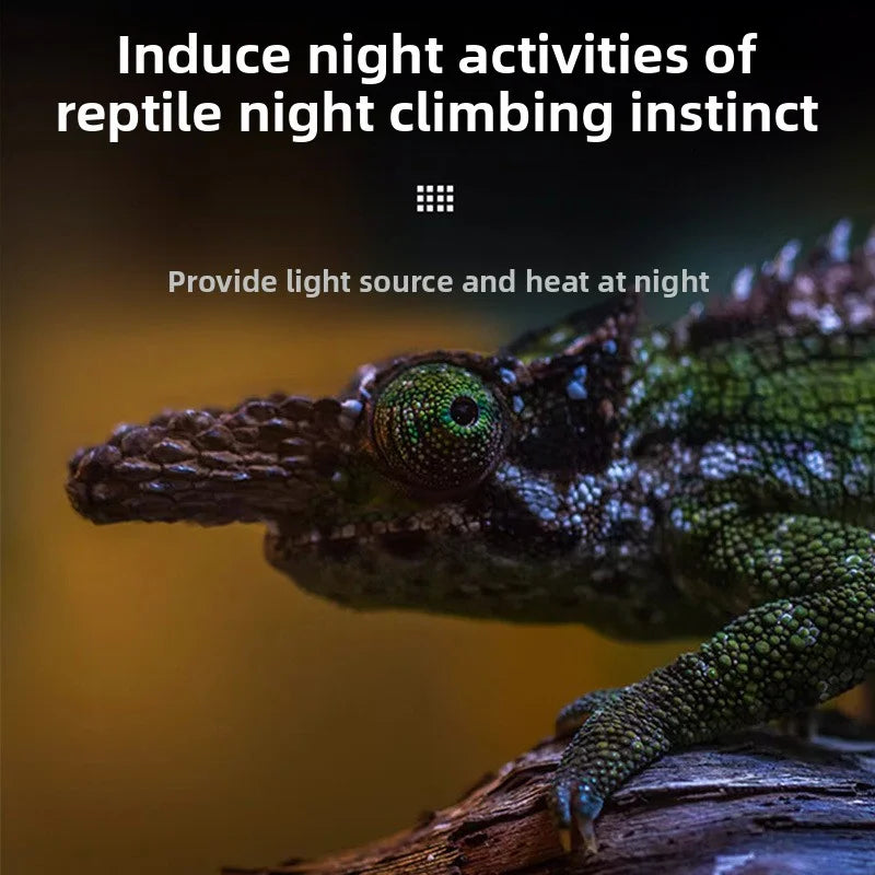 Reptile Moonlight Night Lamp | Chameleon & Lizard Heat Bulb