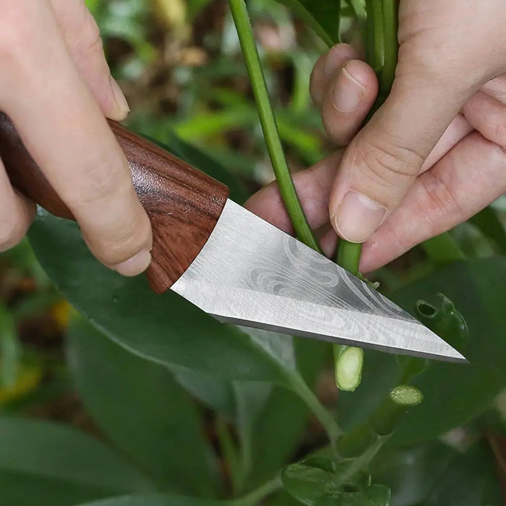 Grafting Knife – Sharp Blade, Wood Grain Handle & Leather Sheath