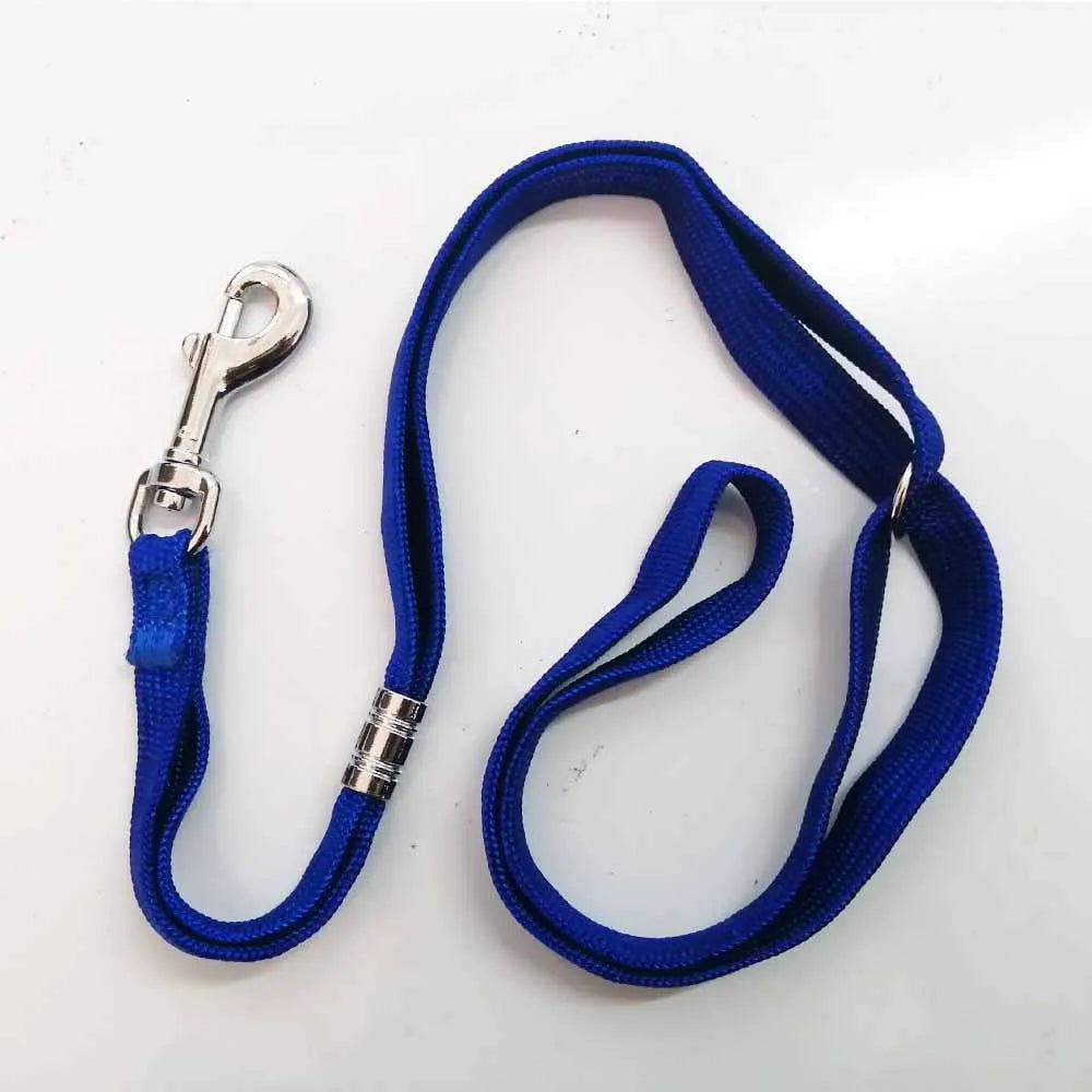 2Pcs Nylon Dog Leash Adjustable Pets Noose Loop Lock Clip Rope Durable Grooming Table Sling Cats Restraint Ropes for Bath Desks Oasis Select Blue 2pcs