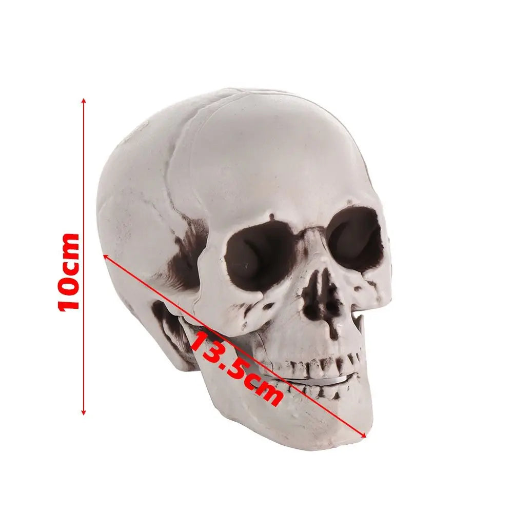 1PC All Size Party Decoration Home Decor Halloween Props Human Skeleton Skull Head Hanging Decor Oasis Select 9x10x13.5cm