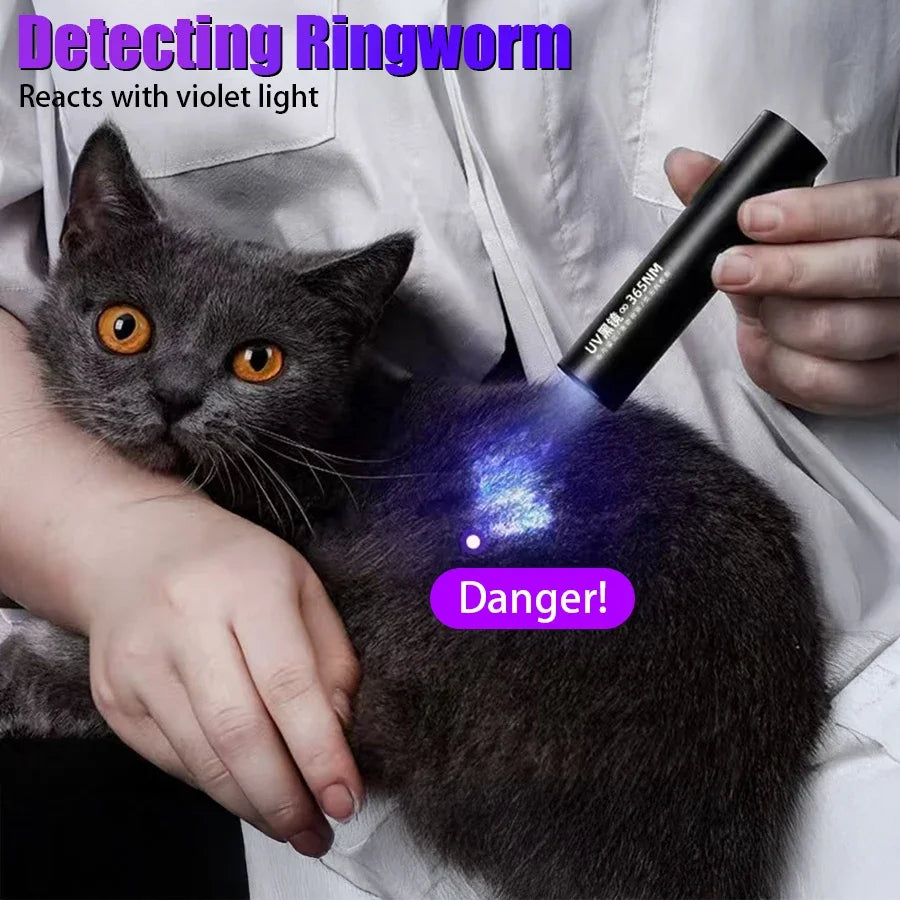 365nm UV Flashlight – USB Rechargeable Ultraviolet Torch