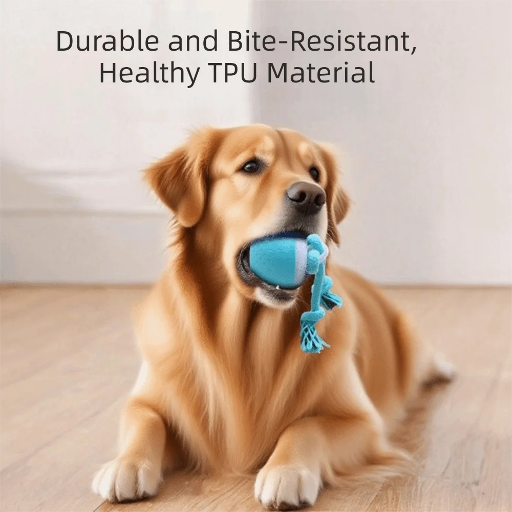 Smart Auto-Rolling Dog Toy Ball | USB Rechargeable, 3 Modes