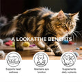 Cat Taurine Powder – Heart, Vision & Coat Support | 200g