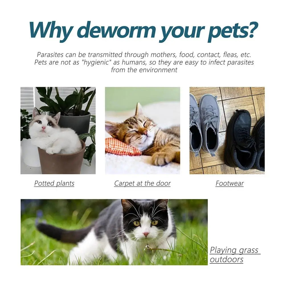 50ml Flea & Tick Treatment Drops for Cats & Dogs