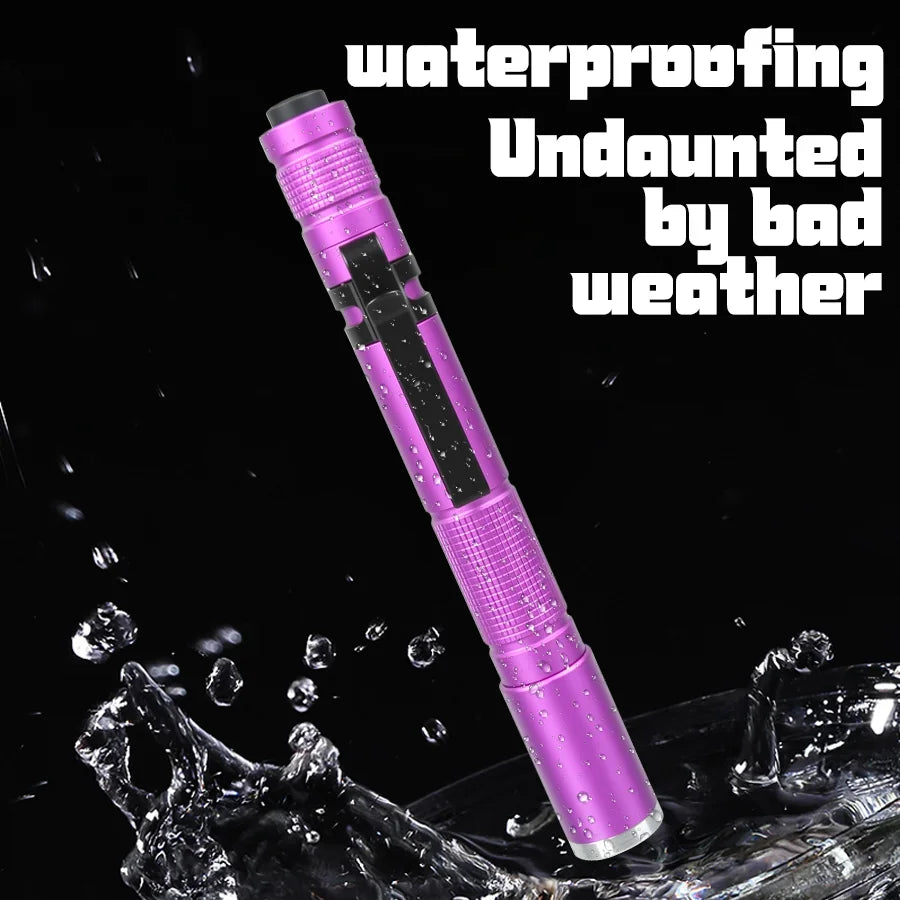 395nm UV Flashlight – Pet Stain & Fluorescent Detector Torch