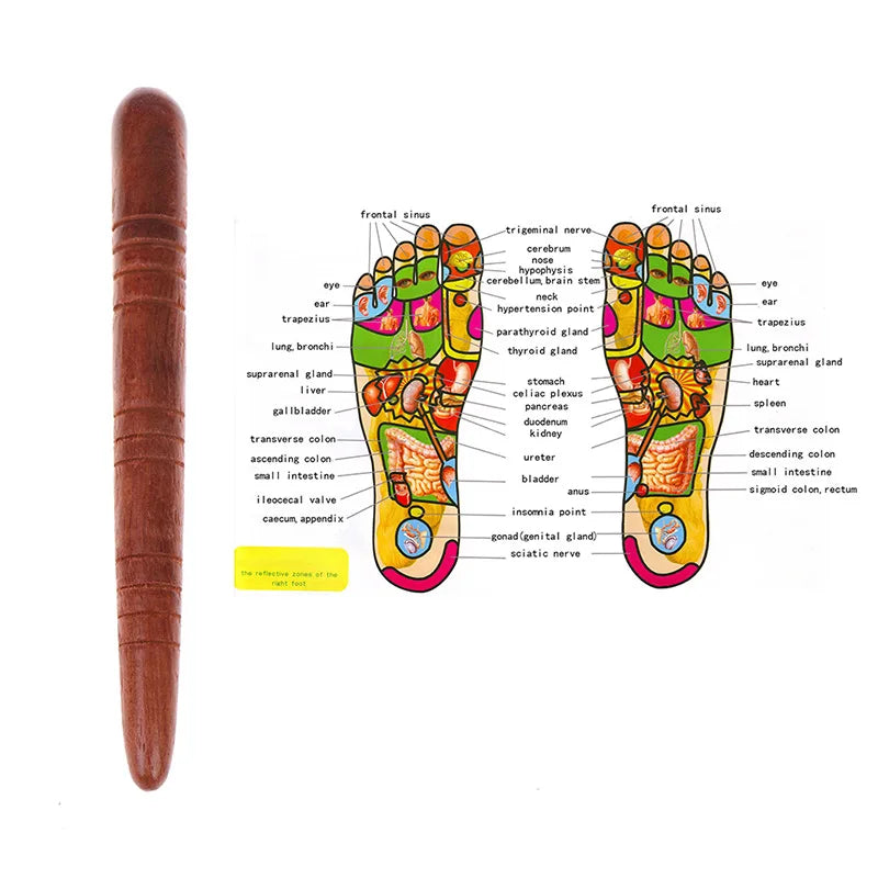 Wooden Acupoint Massage Stick – Meridian Foot Reflexology Tool