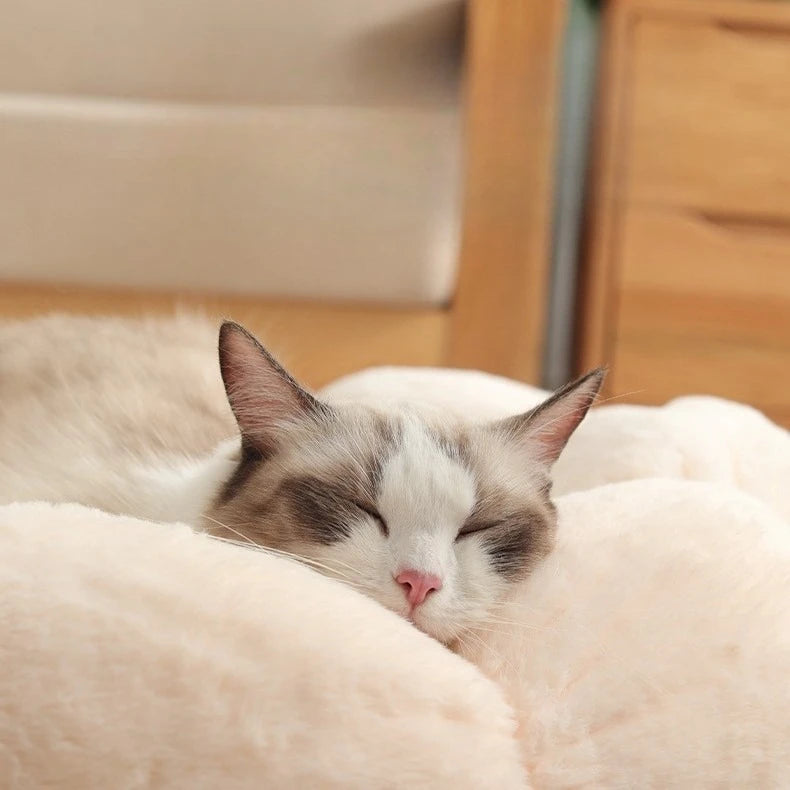 All - Season Plush Cat Bed with Neck Guard, Flower - Shaped Round Pet Bed for Cats & Small Dogs Cat Beds Pets Oasis Select