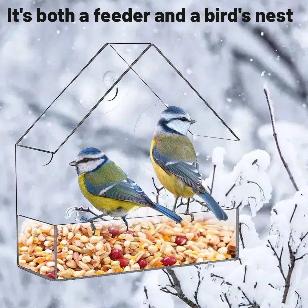 Acrylic Bird Feeder Clear Window Outside Hanging Bird Feeder House with Suction Cup for Garden Outdoor Backyard Wildlife Birding Oasis Select
