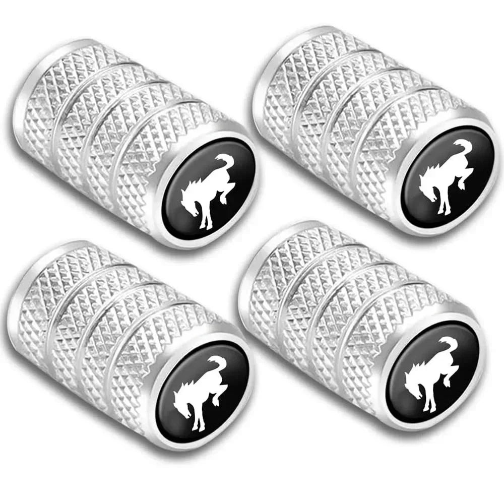 4Pcs Anti-Rust Anti Dust Valve Stem Cover,Car Tire Valve Caps for Bronco,Universal for Cars Trucks Motorcycles and Bikes Oasis Select Silver